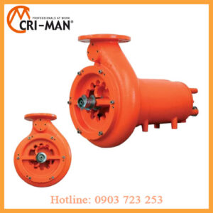 Bơm chìm cánh cắt PTS 80 Seria